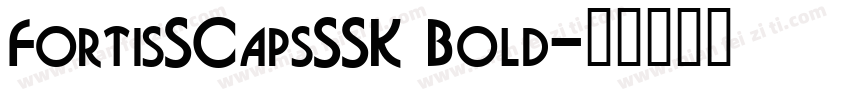 FortisSCapsSSK Bold字体转换